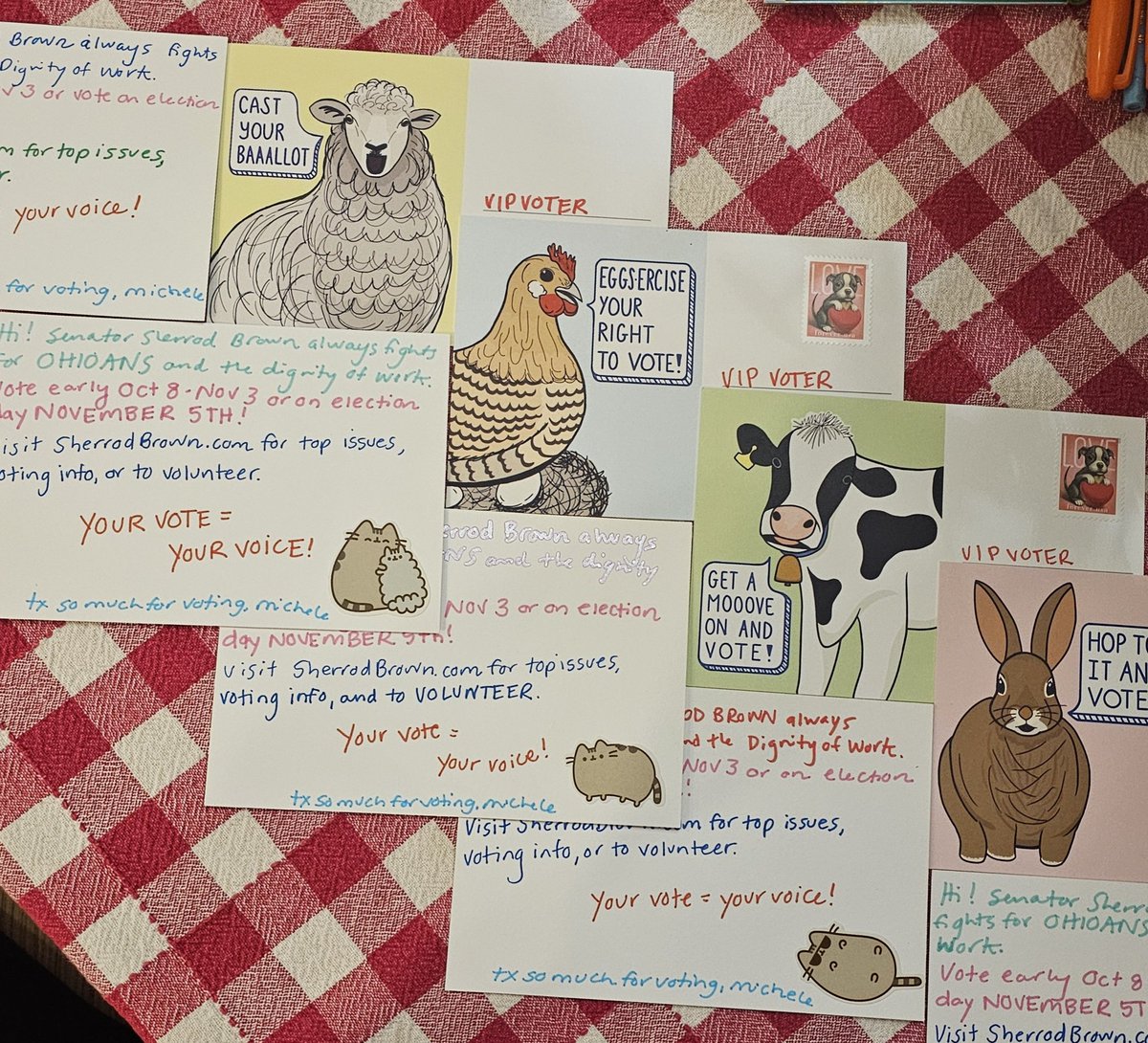 My latest #PostcardsToVoters !!!