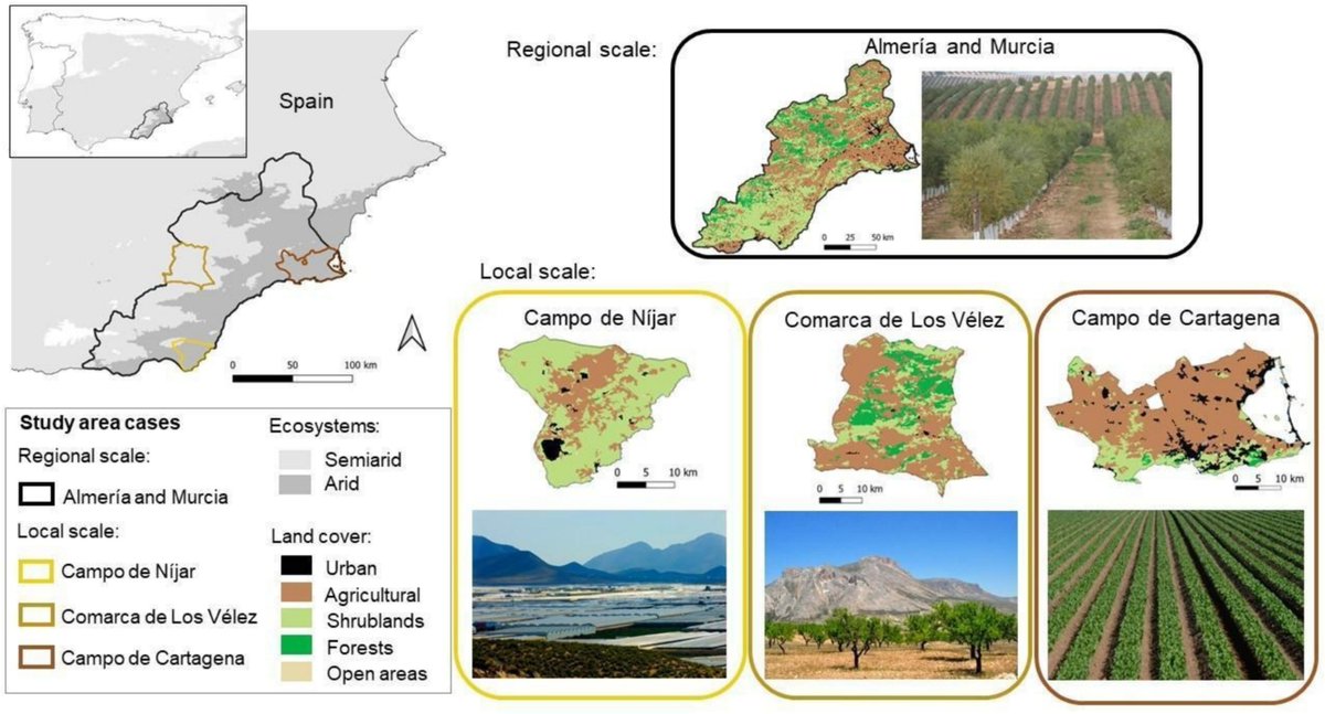 ☀️New Research: "Applying the Three Horizons approach in local and regional scenarios to support policy coherence in SDG implementation: Insights from arid #Spain "

🌏Read about this enlightening research #OpenAccess in GEC: doi.org/10.1016/j.gloe…