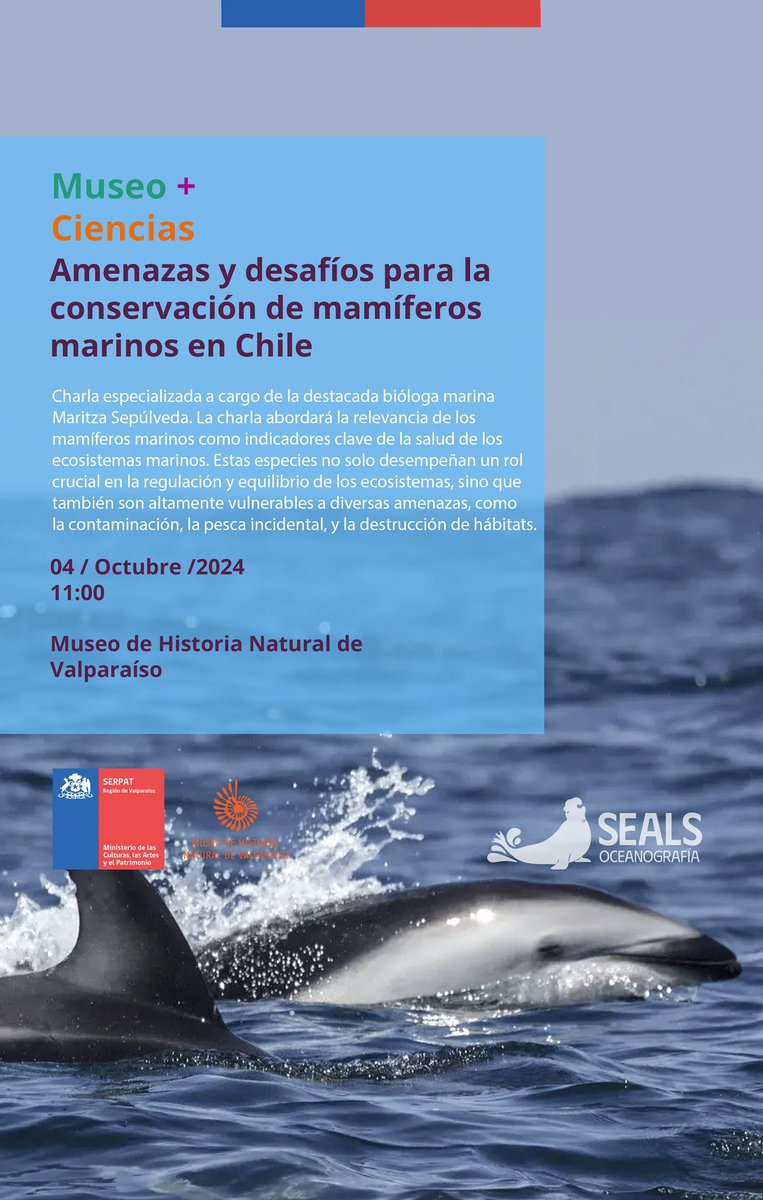 📢 Viernes 04 de oct en #Valparaíso: les esperamos en el <a href="/mhnvalpo/">Museo de Historia Natural de Valparaíso</a> a las 11 am. La Dra. <a href="/Maritza_Sep/">Maritza Sepulveda</a> nos contará sobre “Amenazas y desafíos para la conservación de mamíferos marinos en #Chile” 🐋🦭🐬