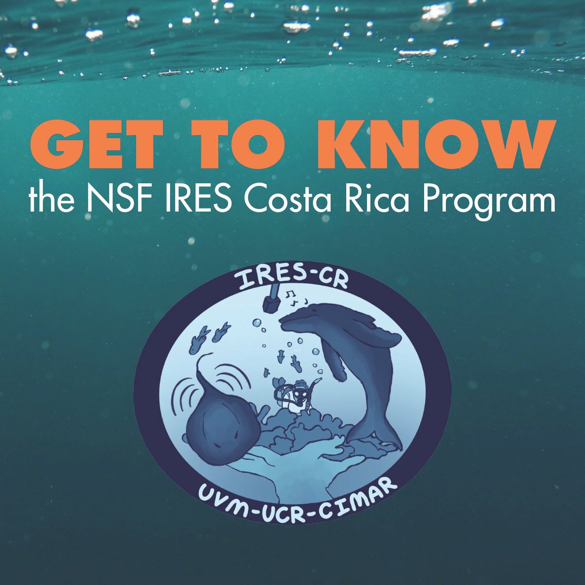 Reception of applications is open and closes on December 15. More info here:
linktr.ee/ires_costa_ric…
