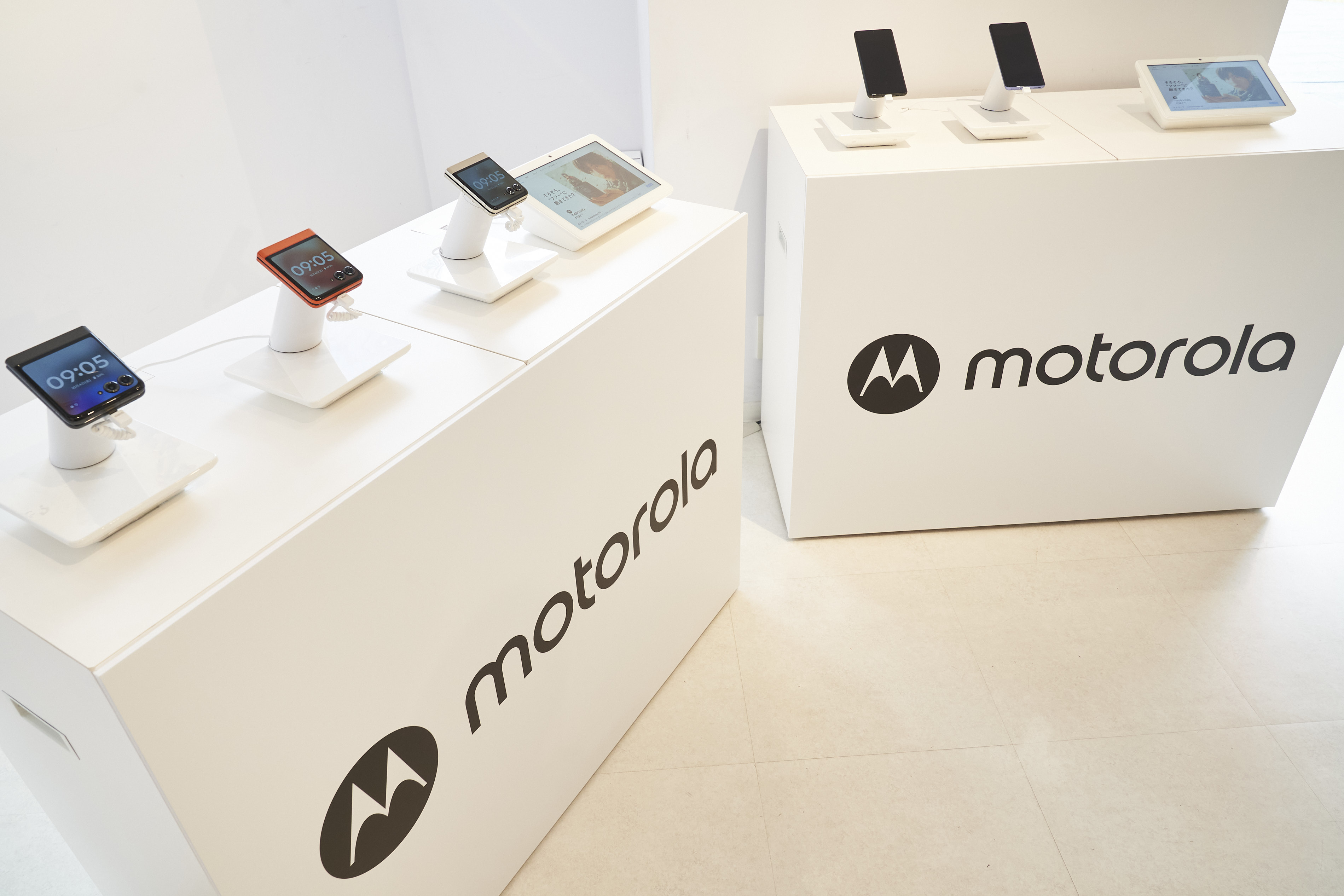 ☆目黒蓮君motorola razr 50 取り外せ カード風コースター 15枚
