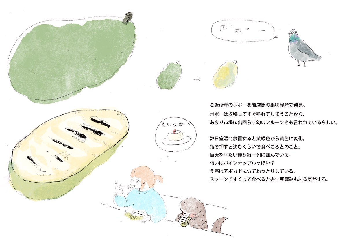 ポポー実食 