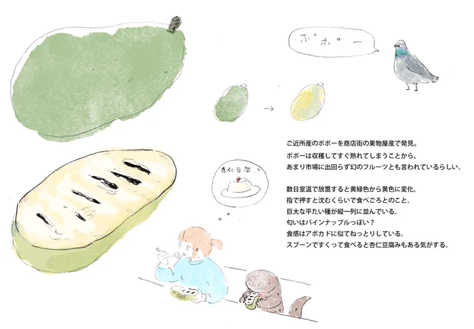 ポポー実食 
