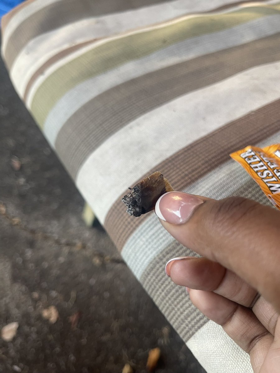 chyonna11's tweet photo. Them: “How’s life going” 
Me: “ pretty good”
In reality: https://t.co/YGuQ7zAhku