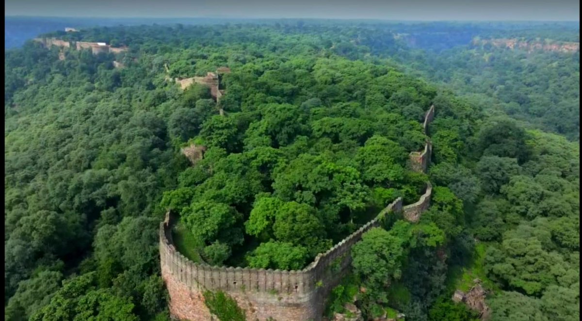 माननीय गहलोत साहब 
हम आपका ध्यान बारां जिले के शाहाबाद में एक निजी कंपनी के लगने जा रहे पावर प्लांट की ओर दिलाना चाहते हैं जिसके लिए घने जंगल के एक लाख से ज्यादा पेड़ काटे जाने प्रस्तावित हैं। तस्वीर देखकर आपको भली भांति अनुमान हो जाएगा कि हम किस मूल्यवान संपदा को बचाने के लिए