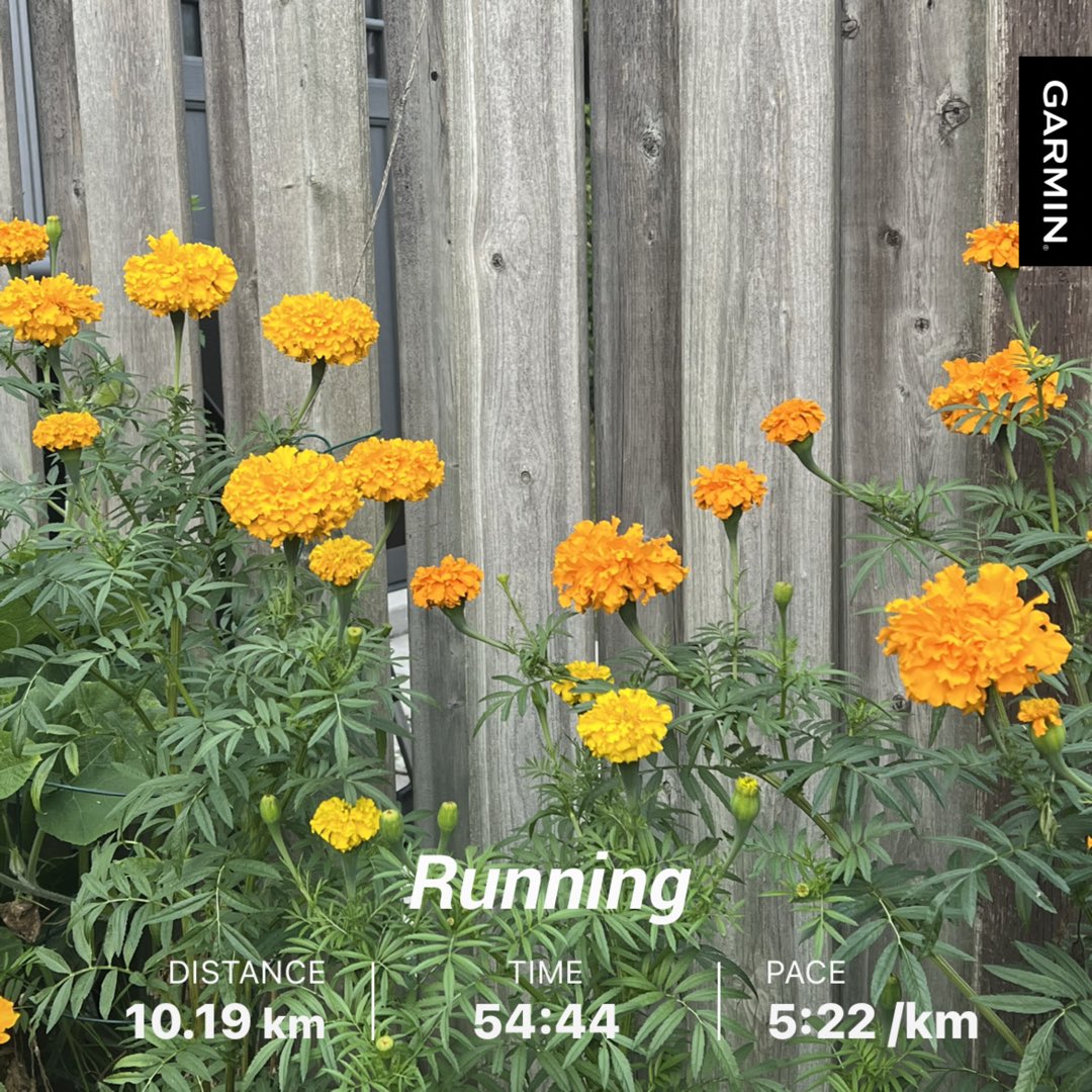 kunrup's tweet photo. Thursday evening run 10K around neighborhood. It’s pleasant with 16 degrees.
#brampton #staypositive #positivity #positivevibes #stayactive #staymotivated #runforfun #runforhealth #marathonbound #torontowaterfrontmarathon https://t.co/iPPIocqh74