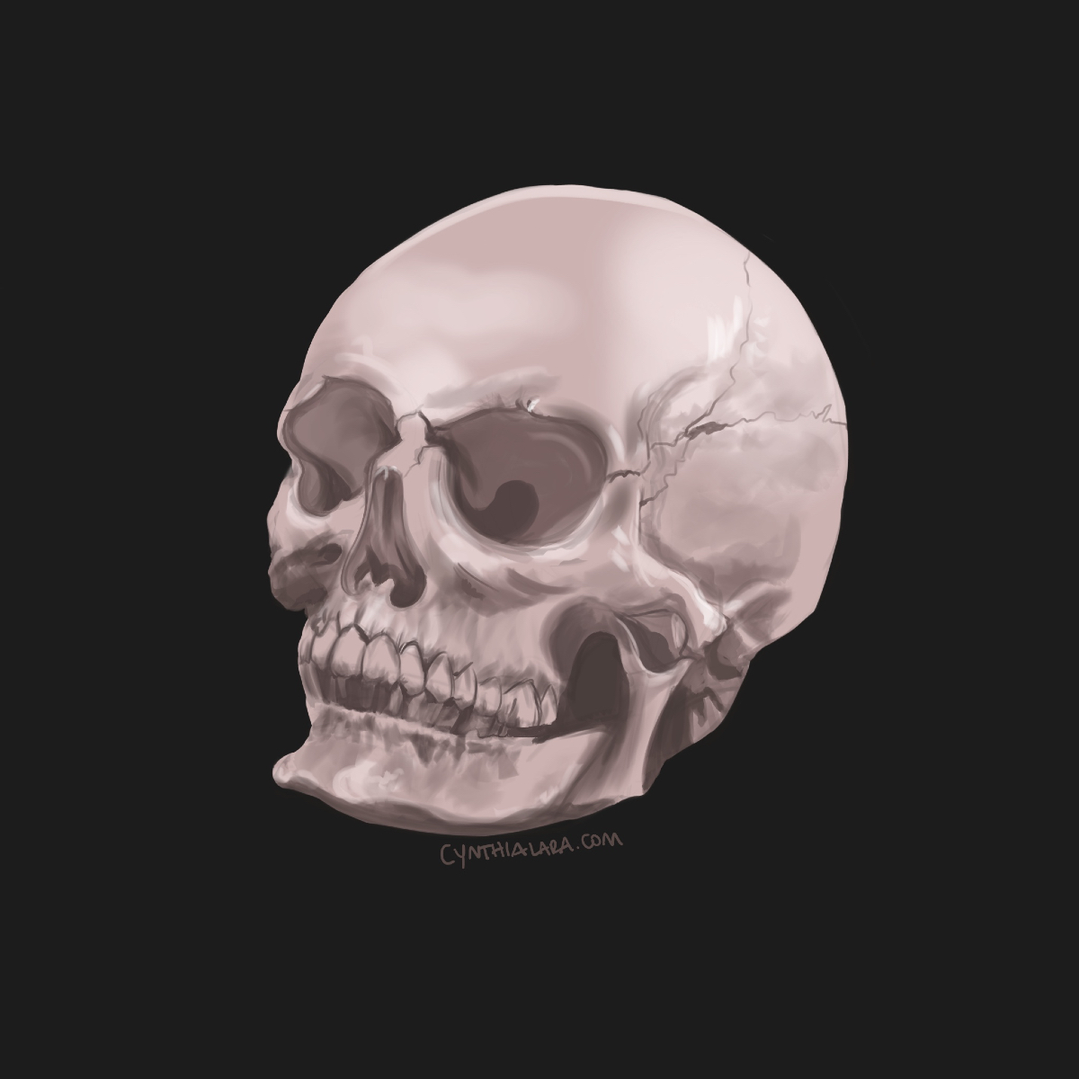 ninja_android's tweet photo. Floating Skull
#skull #digitalpainting #halloween #creepy #scary #skeleton #procreate #inktober #drawlloween #drawtober #daily5 #mydaily5 #drawingpractice #paintingpractice #halloween #sleepyhollow #horror #horrorstories https://t.co/NwMbaiSqxM