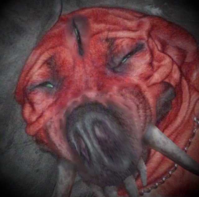 Randomizer_TR's tweet image. The Leyak when you shine X-Rays in its eyes #AbioticFactor