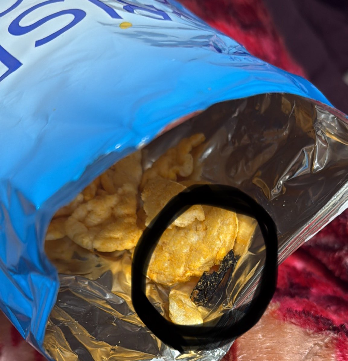 Trisha Ahuja tweet media