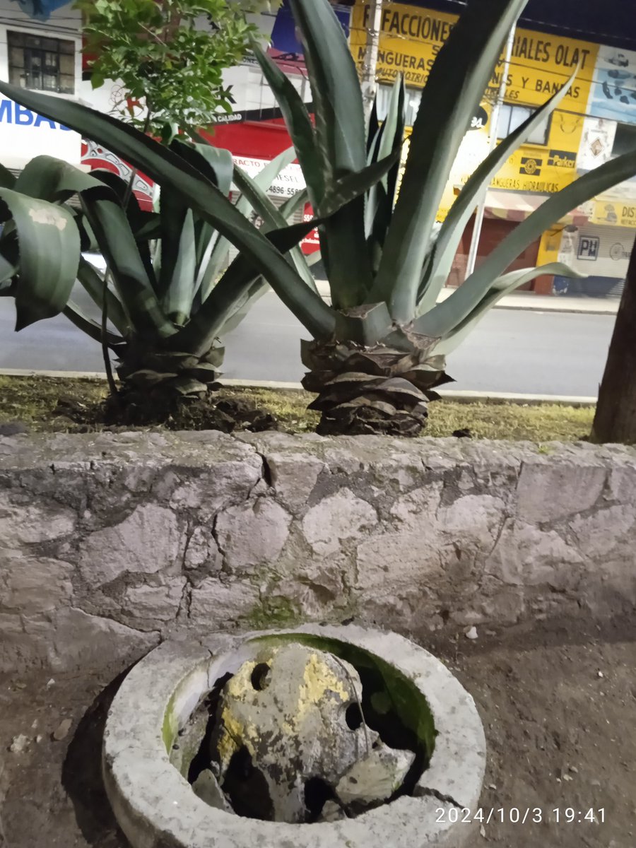 JuanCarrilloMon's tweet photo. @TuAlcaldiaGAM  En el camellón de Av. Cuitlahuac entre las calles 5A y 7, hay un pozo de visita con la tapa rota y es un riego para los que transitamos, podrían reponerla por favor. https://t.co/jKfco3Ju9z
