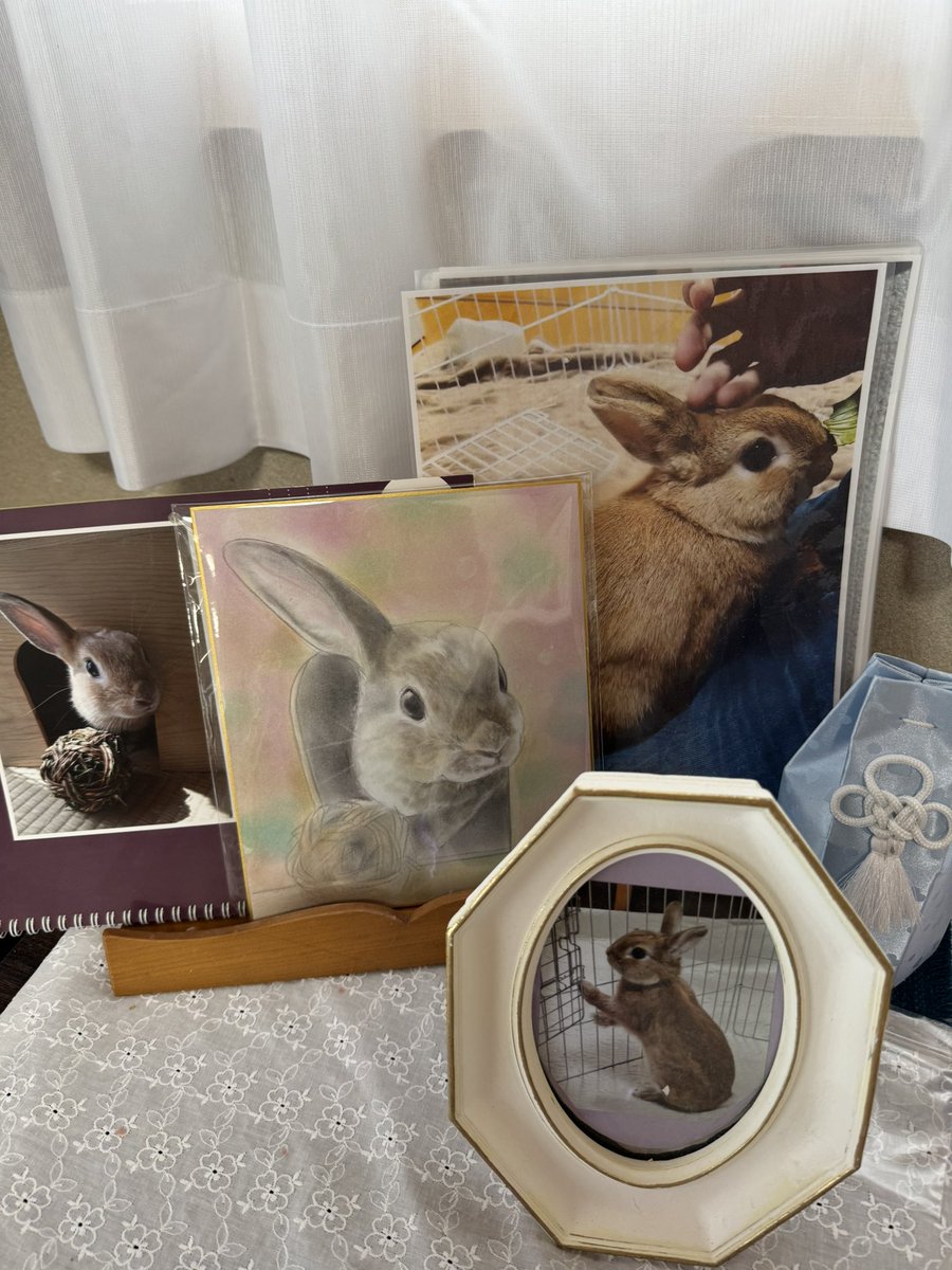 ご無沙汰しています。
ココアの絵をヤマシナセンカさん<a href="/Kochans1/">Ko-chan's</a>に描いて頂きました。優しい雰囲気に心が和みます。本当にありがとうございました。
ココアは昨年病気で亡くなりました。仲良くして下さった皆様にお礼申し上げます。