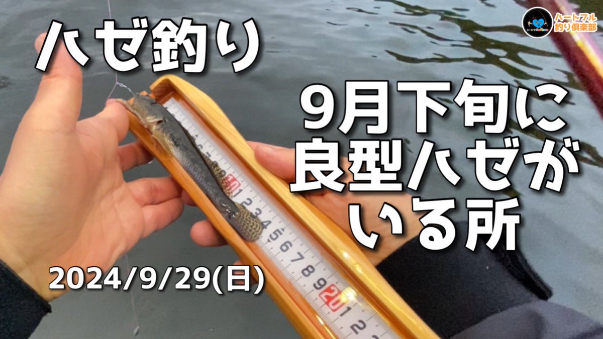 餌箱68 ハゼ釣り ハンドメイド すずしい