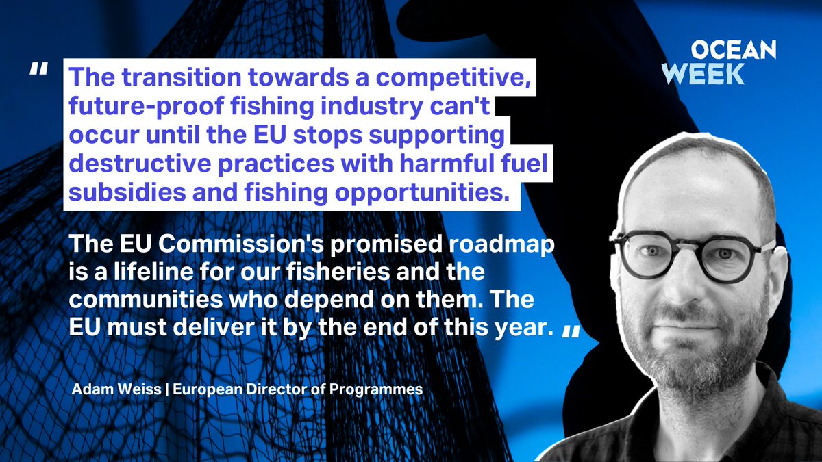 ClientEarthEUR's tweet photo. The EU Commission promised a roadmap for decarbonizing fisheries by end of 2024. But they're running late. Meanwhile, destructive fishing methods still receive fuel subsidies. To secure the future of fisheries, we must redirect money towards low-impact fishing. #EUOceanWeek https://t.co/k18esd2jcs