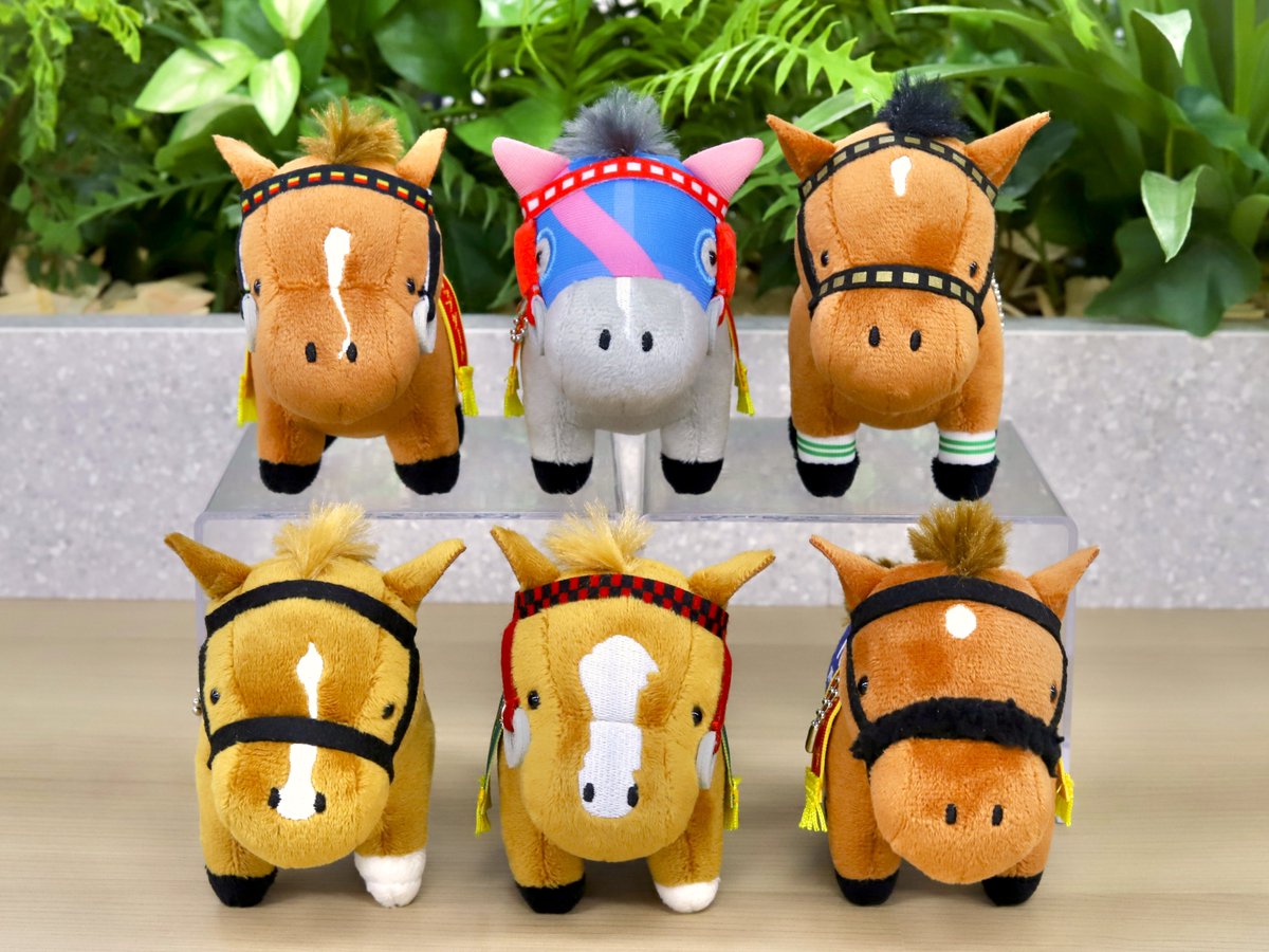 キャラとる【公式】 on X: 