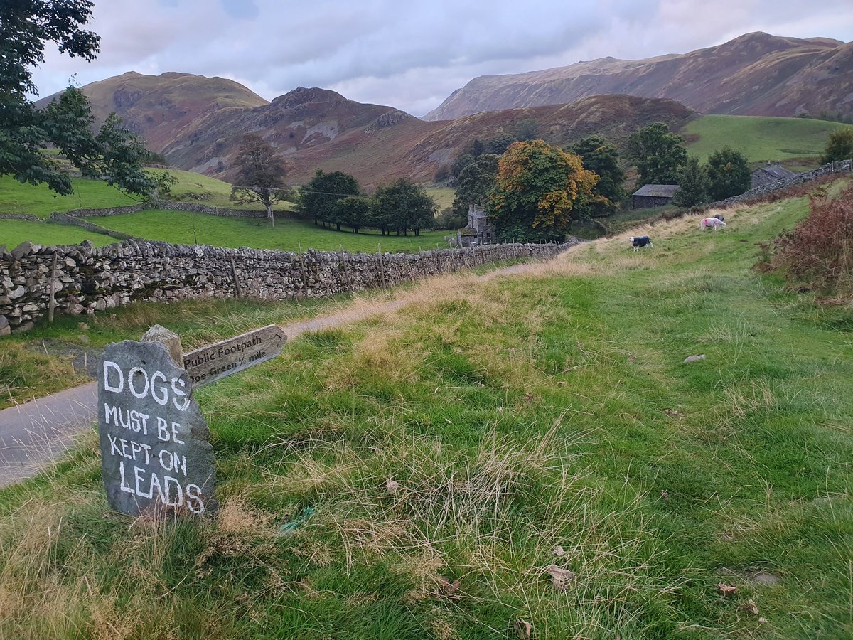 #fingerpostfriday

Great walk tea time Wednesday from Howtown up Hallin Fell.

Amazing views of Ullswater and surrounding fells.

<a href="/VisitEden/">Visit Eden</a> 
#Ullswater 
#Cumbria