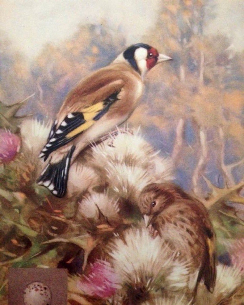 Helen Day tweet media