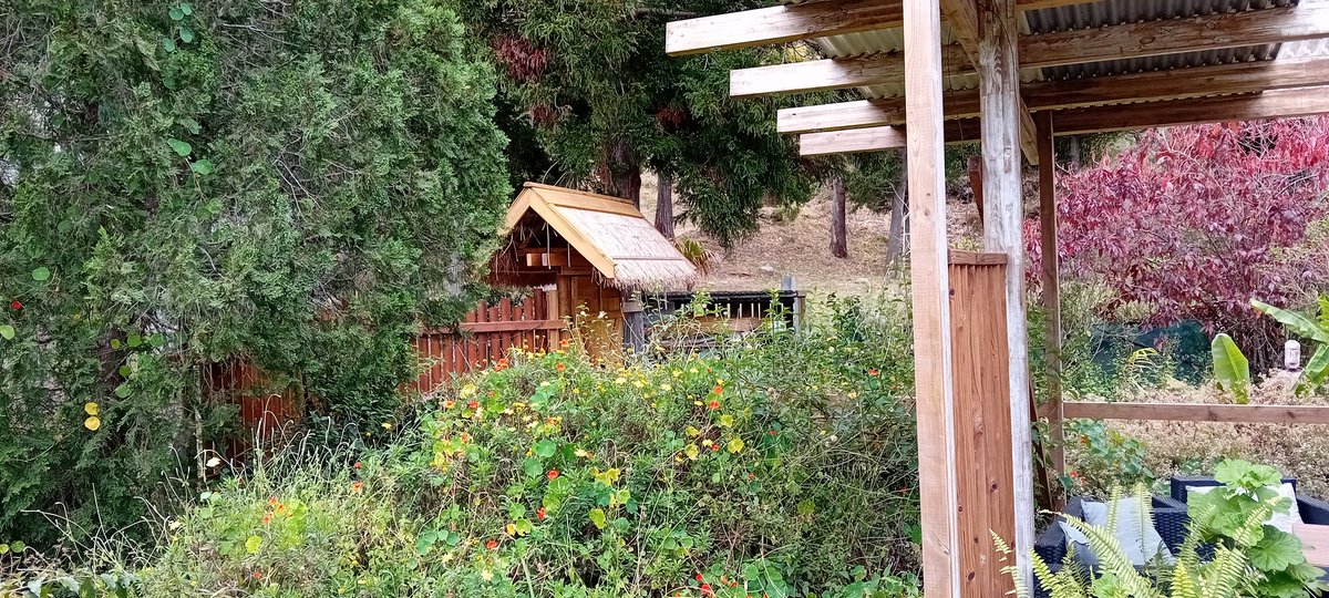 Navonjacques's tweet image. Debut du mois sans tabac...
CSAPA KAZ OTÉ cirque de Mafate