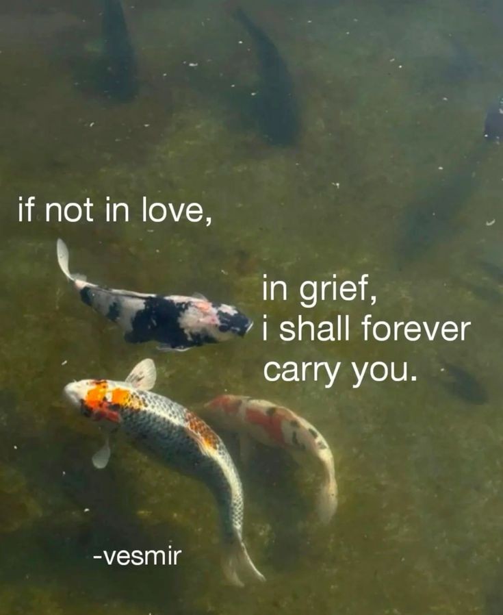 lovedropx's tweet photo. https://t.co/2IaJVmnU8i