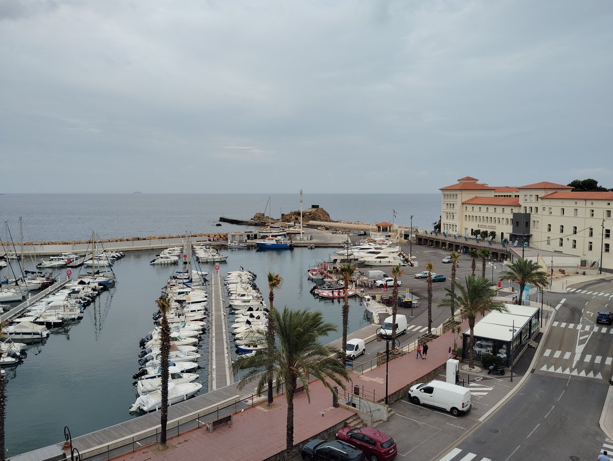 CRGazulla (@carlotargazulla) on Twitter photo I had a great time at <a href="/epra_ieo/">Grupo ‘Ecología del Plancton y Retos Ambientales’</a>, where I learned so much about the Mar Menor and Alborán Sea ecology. Great people and a great place to be 💙
Now I will enjoy the Mediterranean Sea from a different (and windy) perspective at the <a href="/OOBanyuls/">Observatoire Océanologique de Banyuls-sur-Mer</a> as a postdoc in @LOMIC_UMR7621 & #LECOB I had a great time at <a href="/epra_ieo/">Grupo ‘Ecología del Plancton y Retos Ambientales’</a>, where I learned so much about the Mar Menor and Alborán Sea ecology. Great people and a great place to be 💙
Now I will enjoy the Mediterranean Sea from a different (and windy) perspective at the <a href="/OOBanyuls/">Observatoire Océanologique de Banyuls-sur-Mer</a> as a postdoc in @LOMIC_UMR7621 & #LECOB