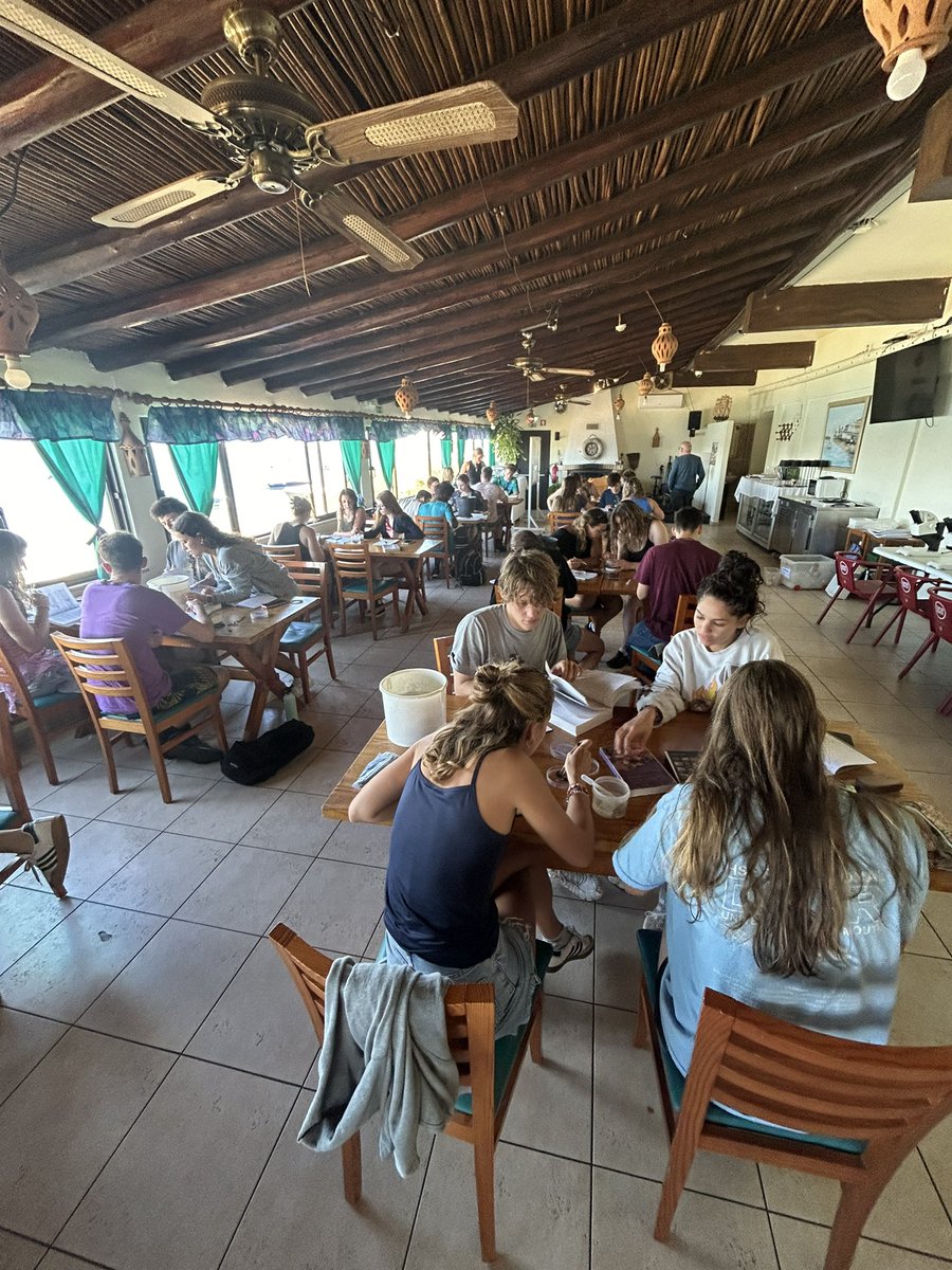 Great second day on our marine biology field course in the Ria Formosa national park, Portugal - quantifying the effect of manmade structures on biodiversity  <a href="/benciotti/">Ben Ciotti</a> @ManuelaTruebano <a href="/MBERC_PlymUni/">MBERC</a> <a href="/PlymUni/">University of Plymouth</a> <a href="/PlymBioMarSci/">Biological and Marine Sciences</a>