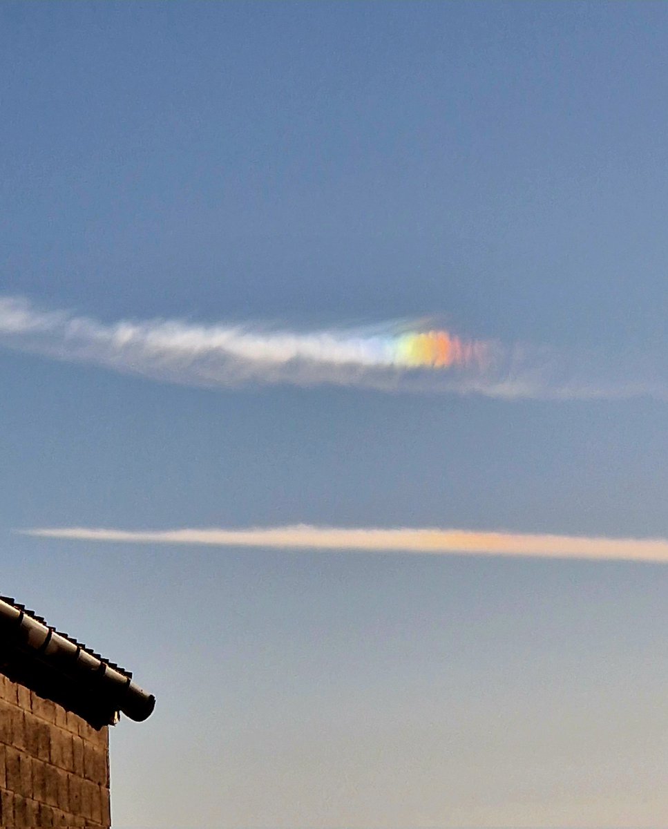 | Feather_26 | Youtuber and gamer tweet media