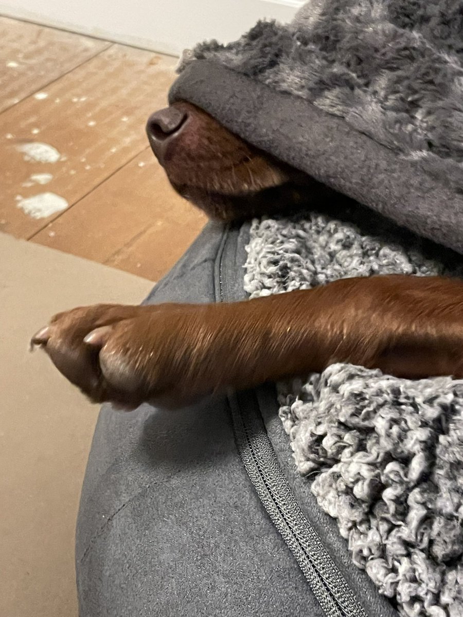 Netty 🇺🇦 tweet media