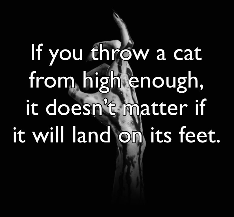 terrorfiction's tweet photo. #terrorfiction https://t.co/ls95wtm0XU