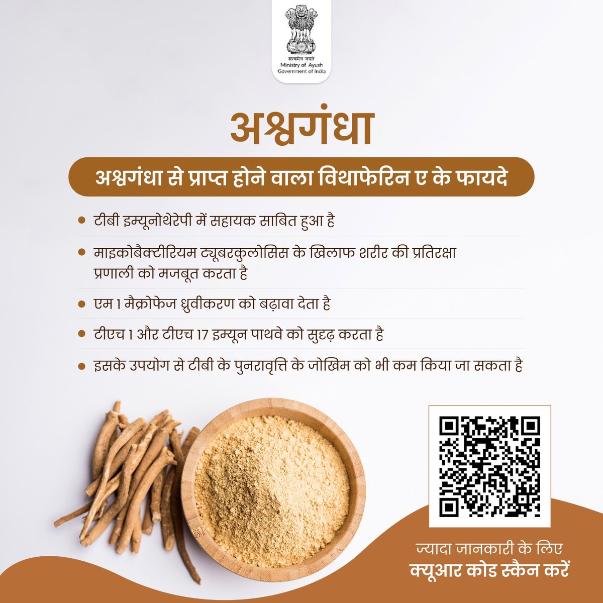 moayush's tweet photo. एक अध्ययन में अश्वगंधा (विदानिया सोम्निफेरा) से मिलने वाले विथाफेरिन ए को टीबी के इलाज में सहायक पाया गया है। विथाफेरिन ए शरीर की प्रतिरक्षा प्रणाली को मजबूत करने में मदद करता है साथ ही टीबी के खिलाफ जंग में ये प्रभावी साब���त हुआ है। अधिक जानकारी के लिए लिंक पर क्लिक करें। https://t.co/TK9Uu4lafl