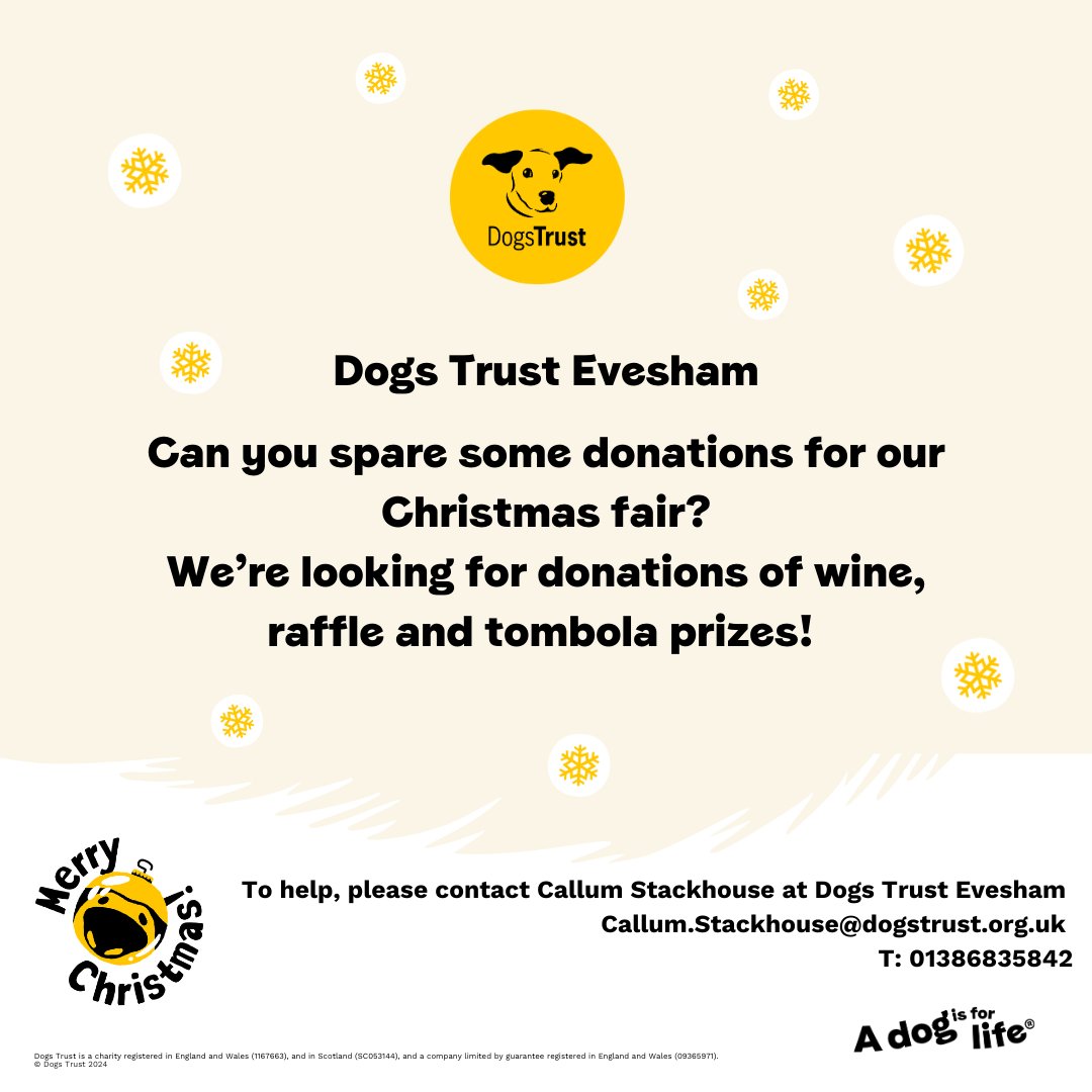Dogs Trust Evesham tweet media