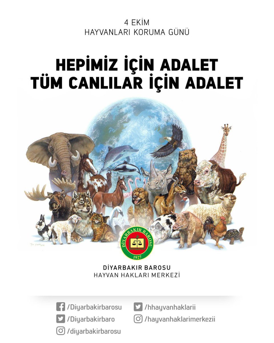 dbhayvanhaklari's tweet photo. #4EkimHayvanlarıKorumaGünü https://t.co/t4LVeMXezL