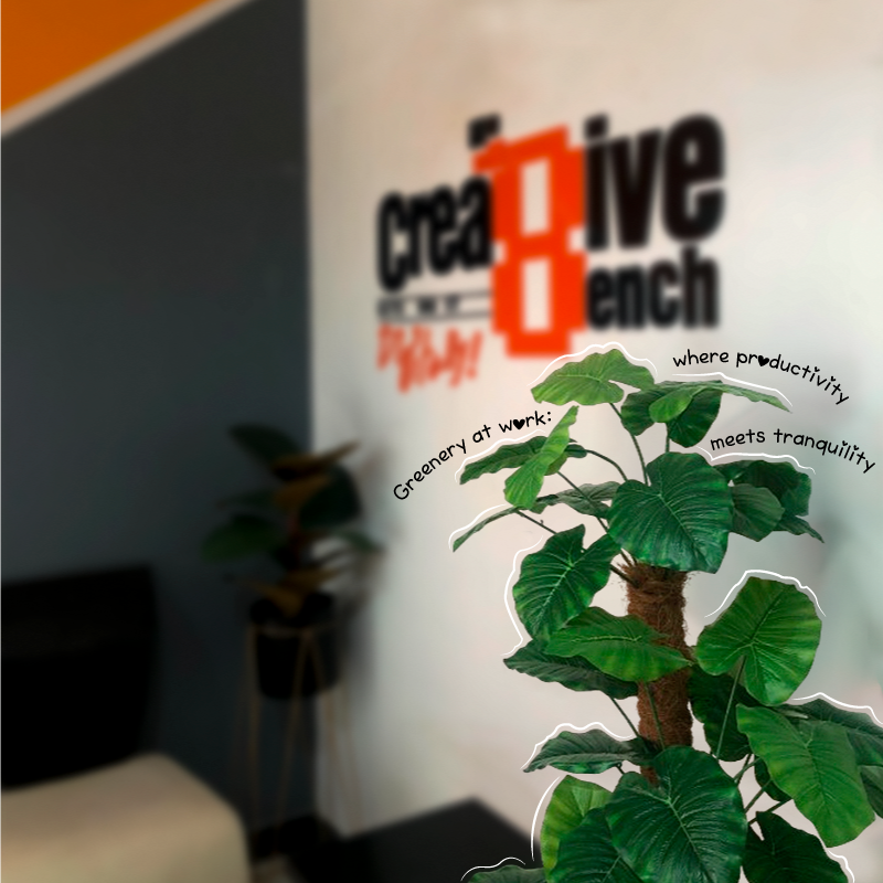 crea8ivebench's tweet photo. Did You Know?
Plants boost creativity, reduce stress, &amp; turn your office into a green oasis of productivity! 💡🌴
#Crea8iveBench #WorkplaceWellness #ProductivityTips https://t.co/xN6g01IEET
