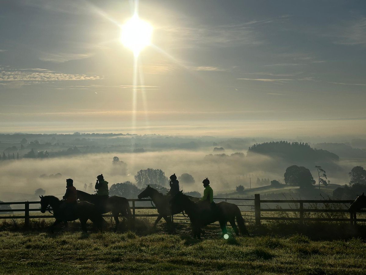 beaubai's tweet image. Gallops life ☀️

#Herefordshire #happyhorses #gallopslife