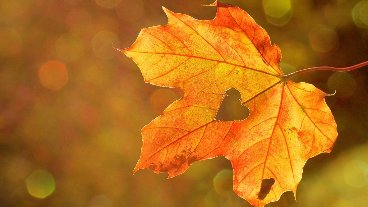 Sarah Oswald tweet media