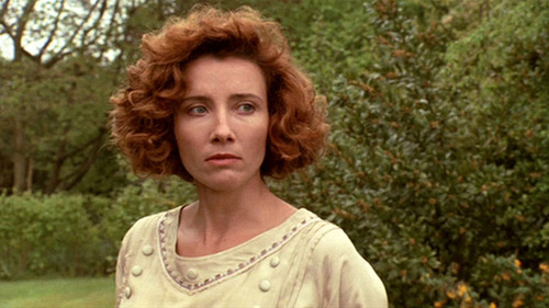 Fritz doesn't live here anymore tweet media