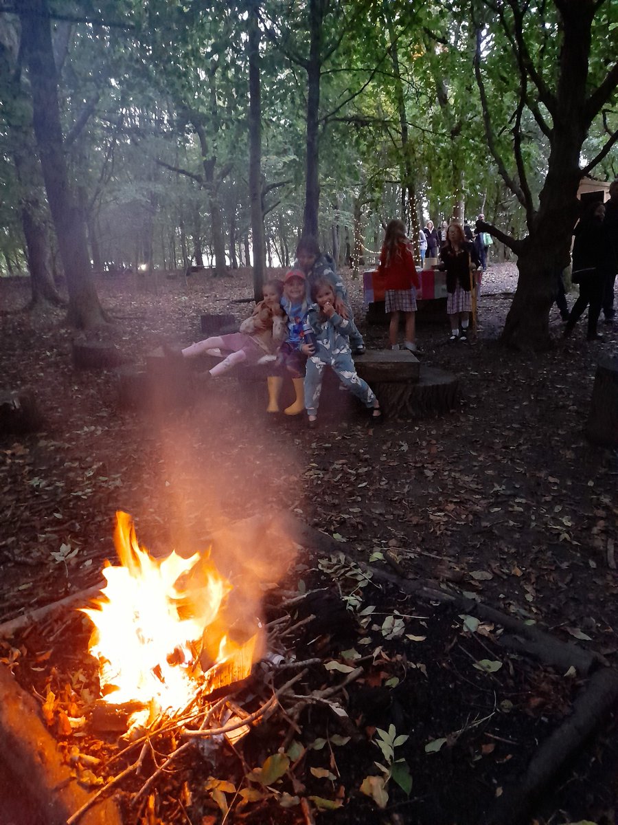PipersForestSch's tweet image. The forest looked stunning for our open evening, filled with fairy magic. #pipersgrounds #pipersoutdoors #pipersprep #piperspreprep 🔥 🧚‍♂️ 🍁