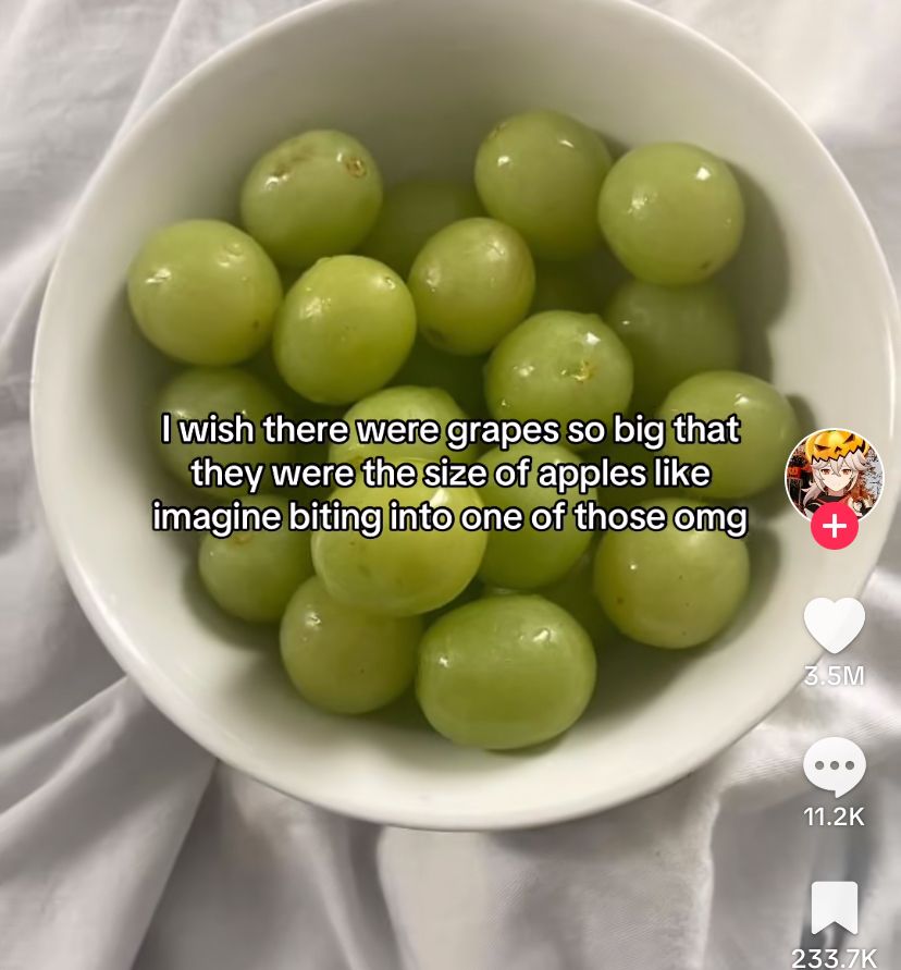 wildtiktokss's tweet image. 