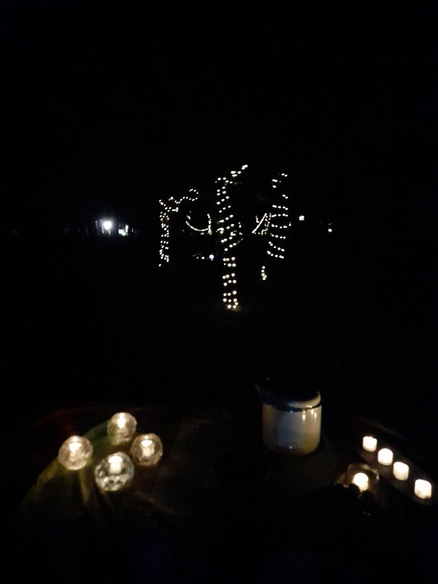 PipersForestSch's tweet image. The forest looked stunning for our open evening, filled with fairy magic. #pipersgrounds #pipersoutdoors #pipersprep #piperspreprep 🔥 🧚‍♂️ 🍁