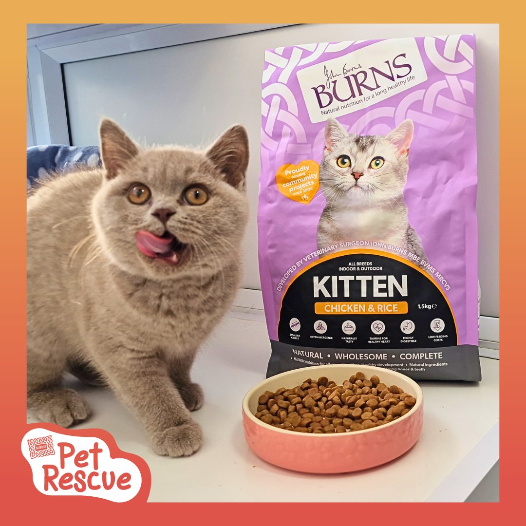 RSPCA Derby (@rspcaderby) on Twitter photo Daisy would like to say a big thank you to <a href="/burnspetfood/">Burns Pet Nutrition</a> for providing us with delicious dry food for our cats and dogs πΎπ
#BurnsPetNutrition #BurnsPetFood #PoweredByBurns #BackedByBurns Daisy would like to say a big thank you to <a href="/burnspetfood/">Burns Pet Nutrition</a> for providing us with delicious dry food for our cats and dogs πΎπ
#BurnsPetNutrition #BurnsPetFood #PoweredByBurns #BackedByBurns