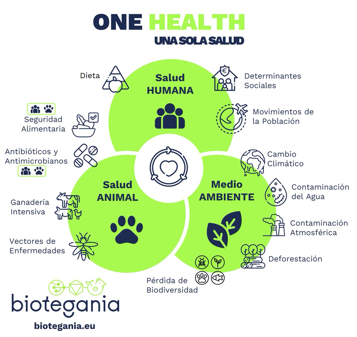 BIOTEGANIA's tweet photo. El #DiaMundialDeLosAnimales nos brinda la oportunidad de recordar la profunda interconexión que existe entre la salud humana, animal y ambiental. Al adoptar el enfoque #OneHealth reconocemos que el bienestar de una parte depende del bienestar de las otras. 

#BIOTEGANIA https://t.co/eYBJJHSsxm