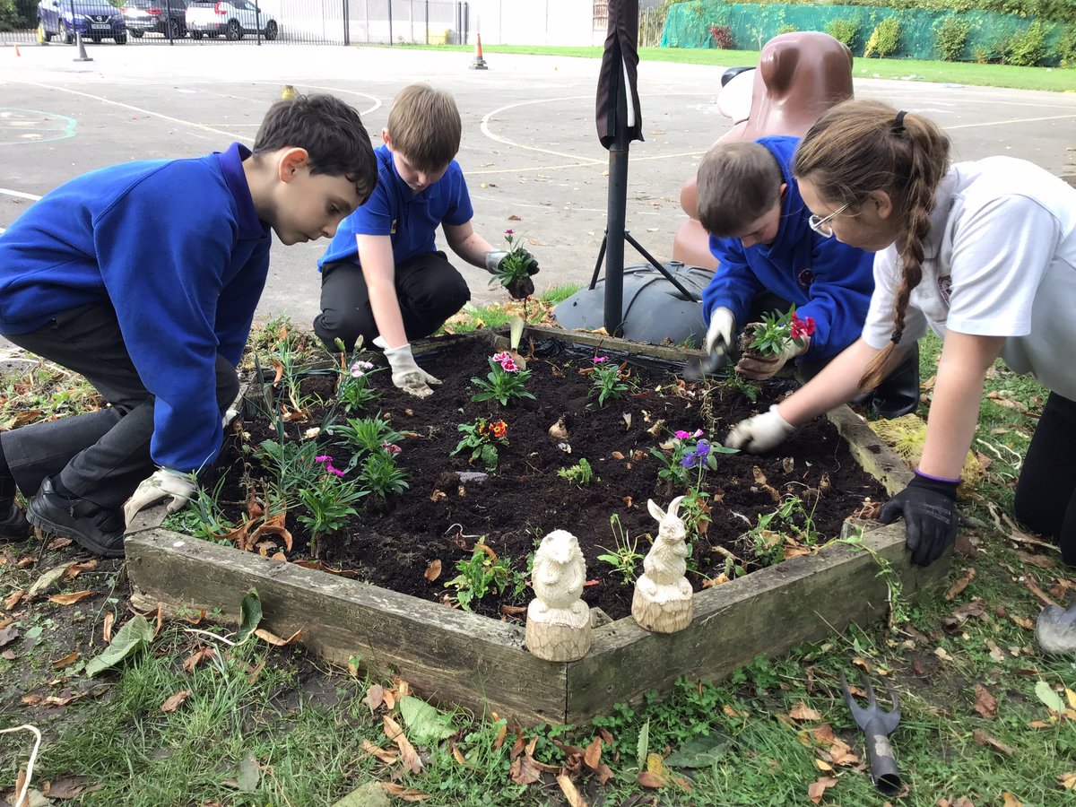Gardening Club are working hard today planting winter bedding plants and spring bulbs to add beauty and colour to our school grounds #LGCEGardening Club