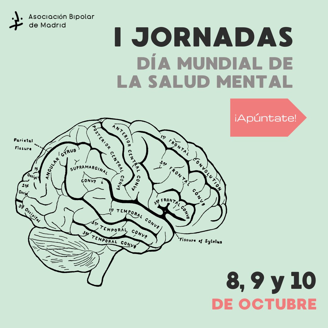 Asociación Bipolar de Madrid tweet media