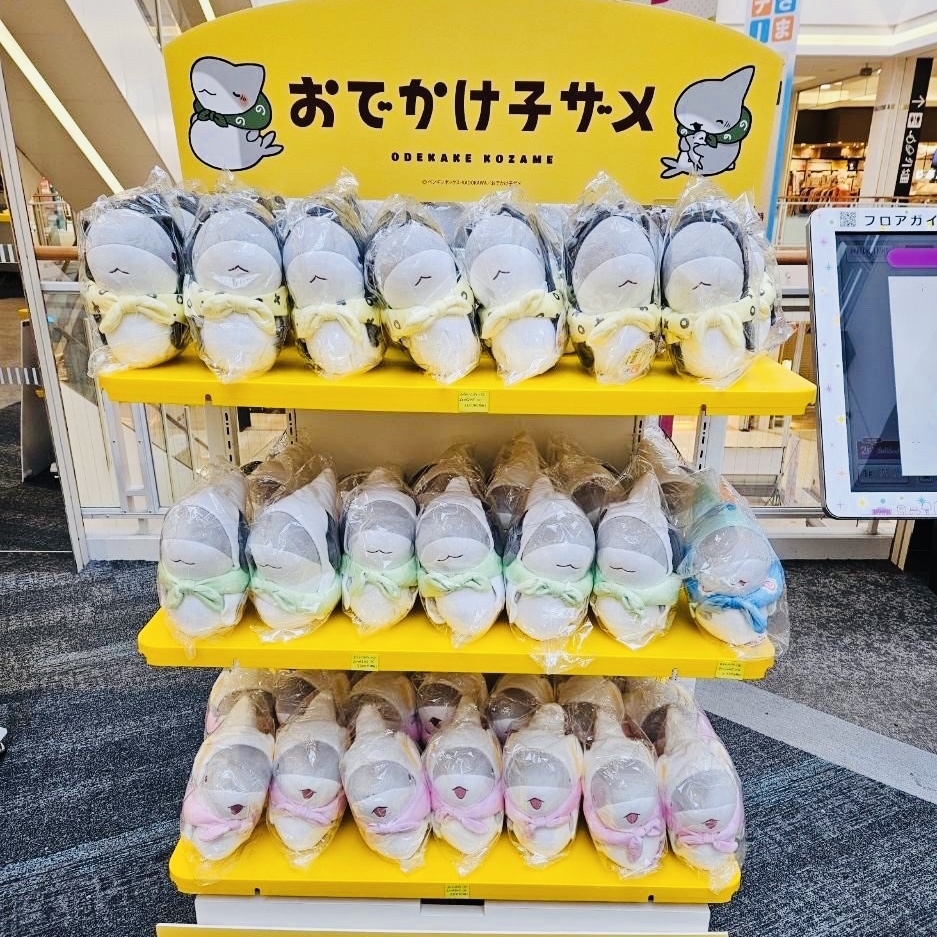 おでかけ子ザメ POP UP SHOP 期間限定オープン！🥤🦈 ＼ 10/4（金