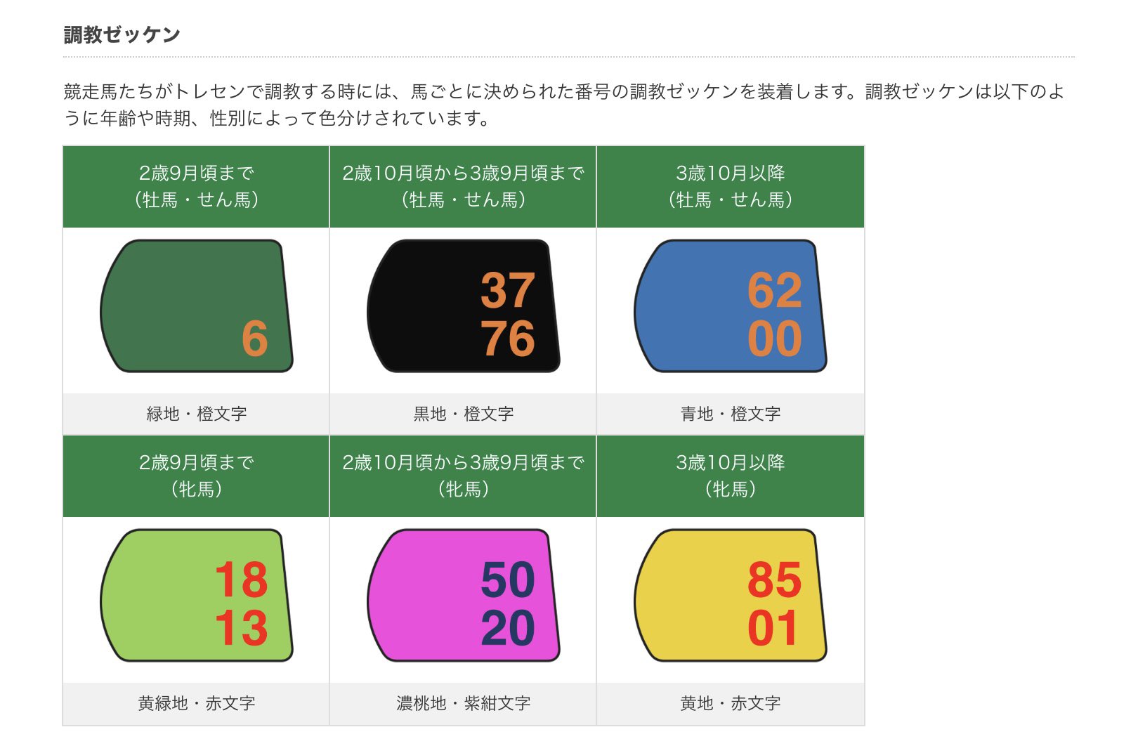 ヤーマンのお宝競馬ゼッケン②ダービー馬『マカヒキ』調教用