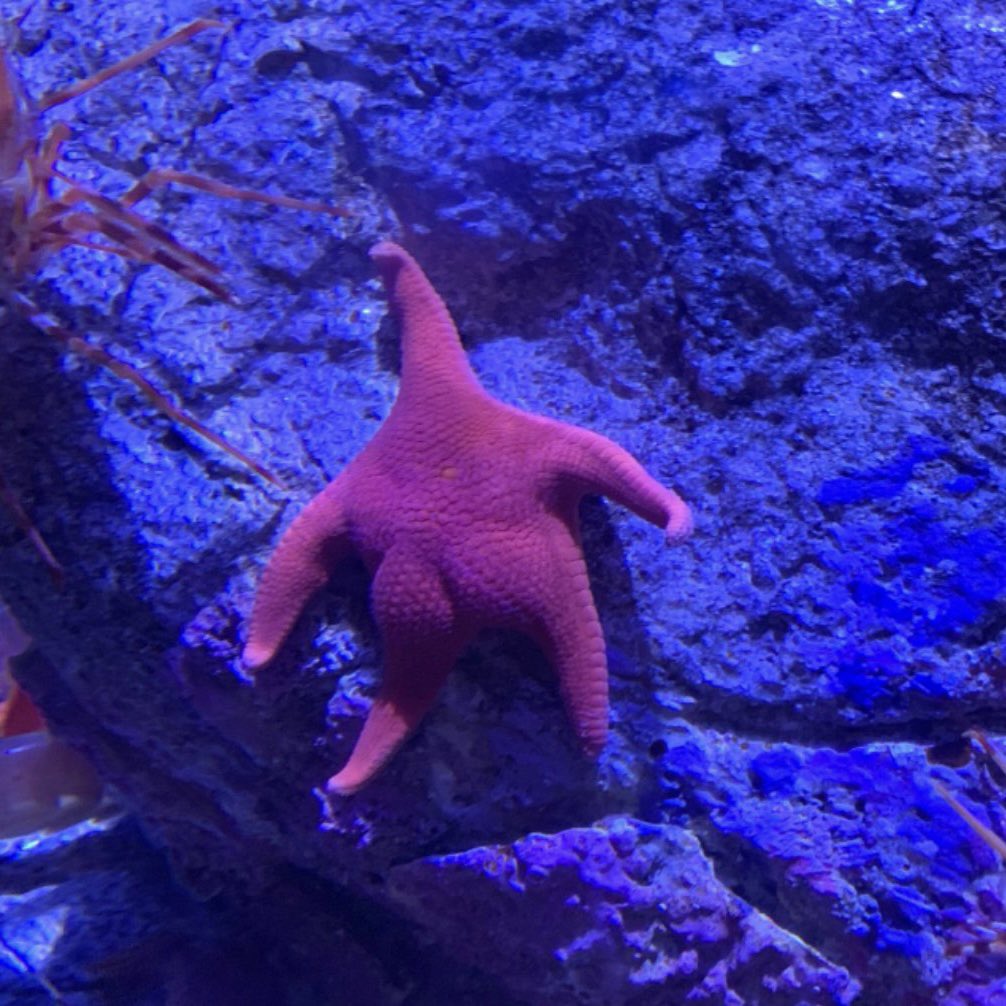 BigbuttCTO's tweet photo. /WE_LOVE_BIG_BUTTS_AND_WE_CANNOT_LIE  🍑

https://t.co/RdUmR1U9uN

3nUJ6an6Q95oSnntsfbdkzb39wd434p5xDFVcYTSpump https://t.co/ptW1pBbyiP