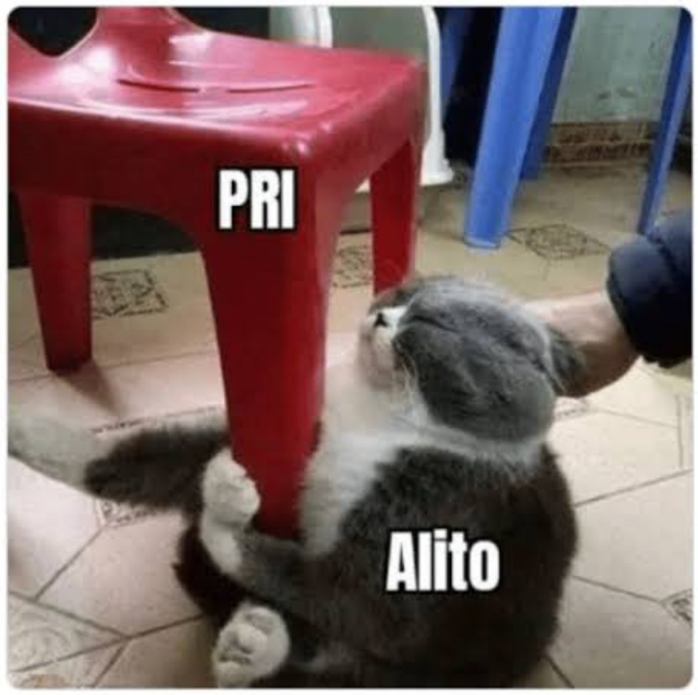 🚨 Excelentes noticias. 

El tribunal Electoral <a href="/TEPJF_informa/">Tribunal Electoral del PJF</a> validó las reformas del <a href="/PRI_Nacional/">PRI</a> y con ello a la rata 🐀 con voz aguardentosa 🤮 Alejandro Moreno <a href="/alitomorenoc/">Alejandro Moreno</a> 🐀 cómo su eterno dirigente; asegurado así la extinción del partido más corrupto y cínico. 👏👏