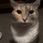 Photo by a9fy2iwd7ek🔶️ (@geisonsonson)