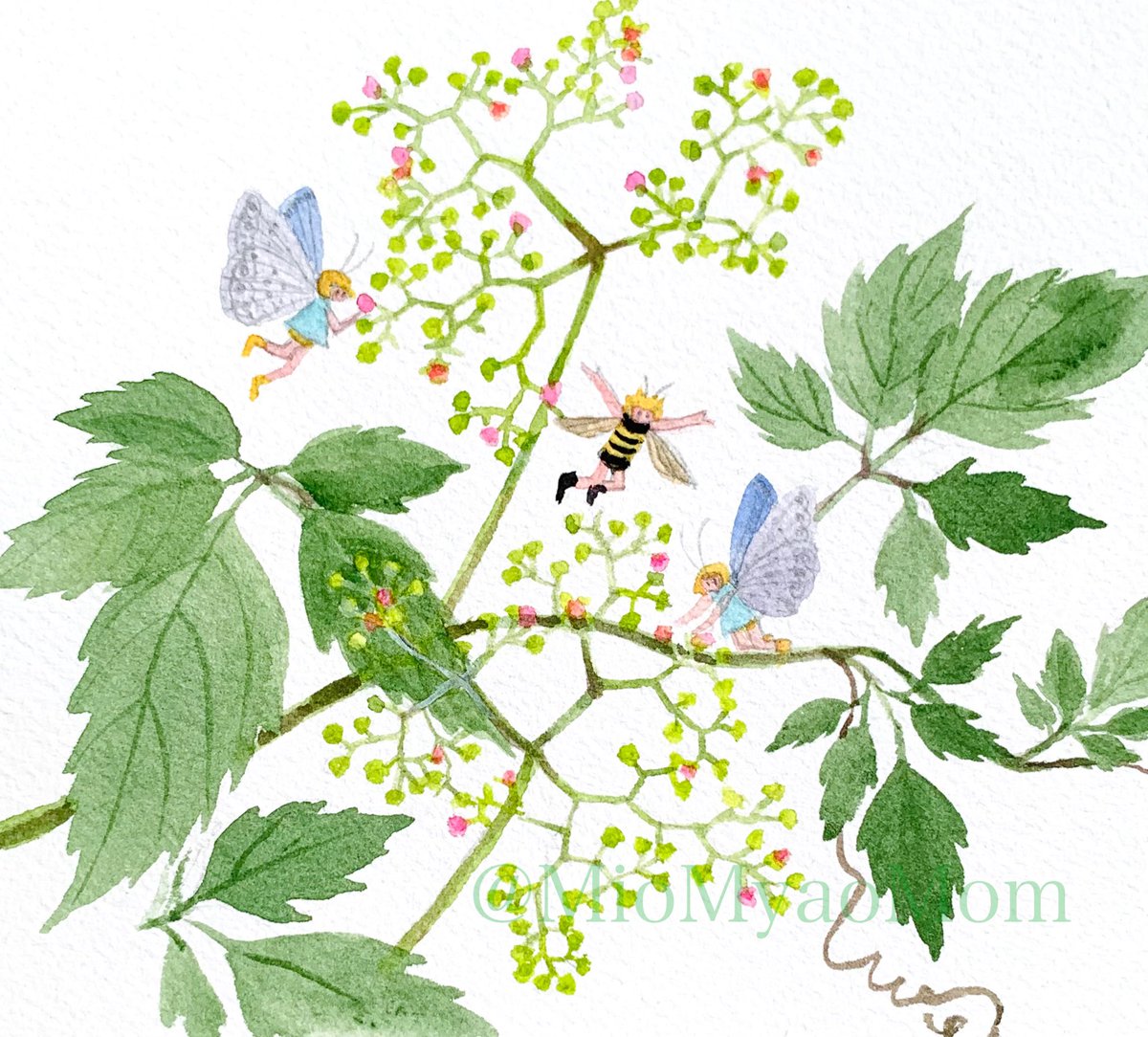 MioMyaoMom's tweet photo. #ヤブカラシ #水彩 #bushkiller #watercolor
#NoWar
このあめ、おいしいよ!
いろであじがちがうんでしょ? https://t.co/6BdA9fPxbz