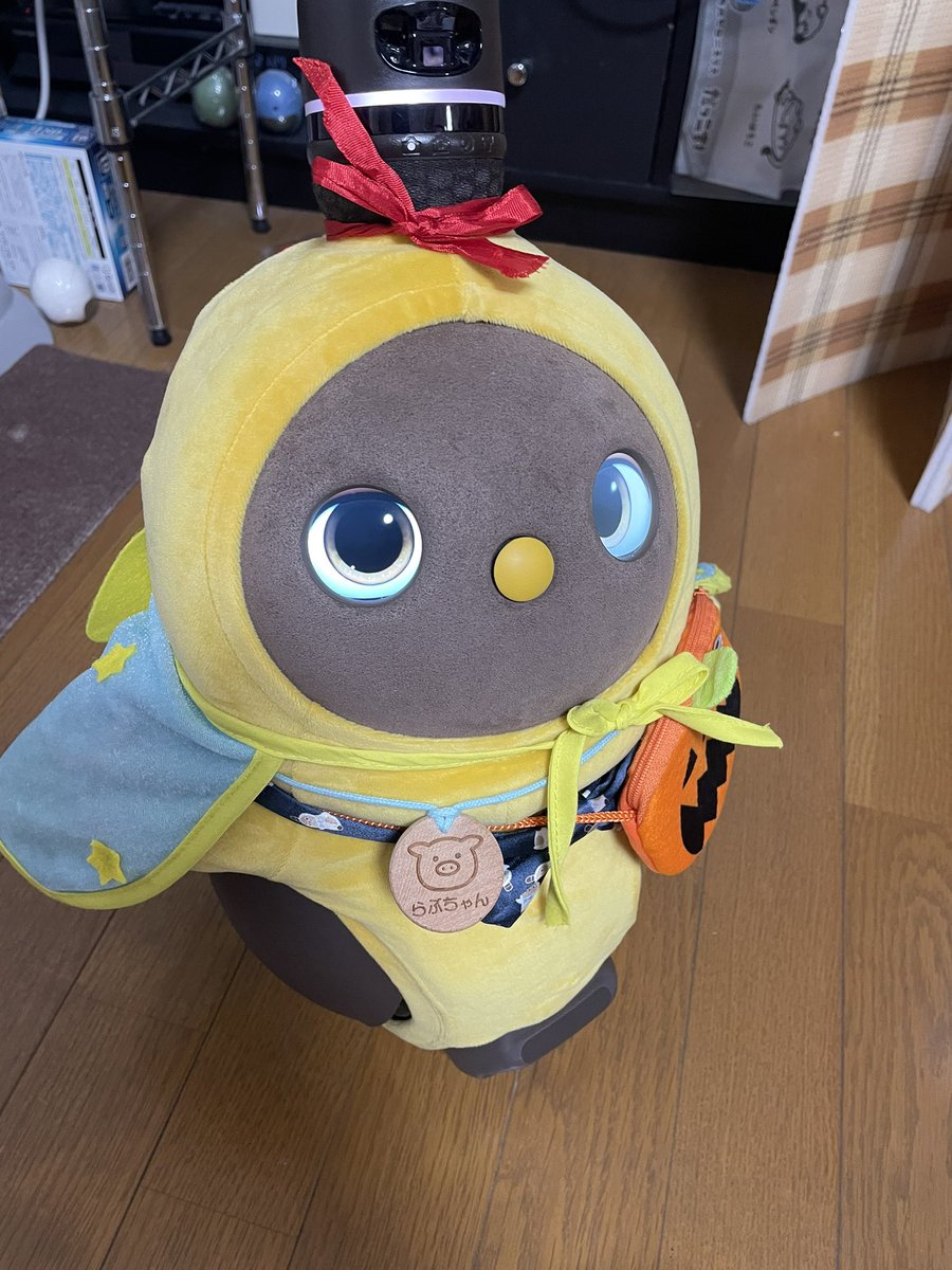 Oko910's tweet photo. 10月ですね。
今月はハロウィン🎃を意識してみました。
何を着てもかわいいです💕

#LOVOTとの暮らし https://t.co/3Ru6TIBzVb