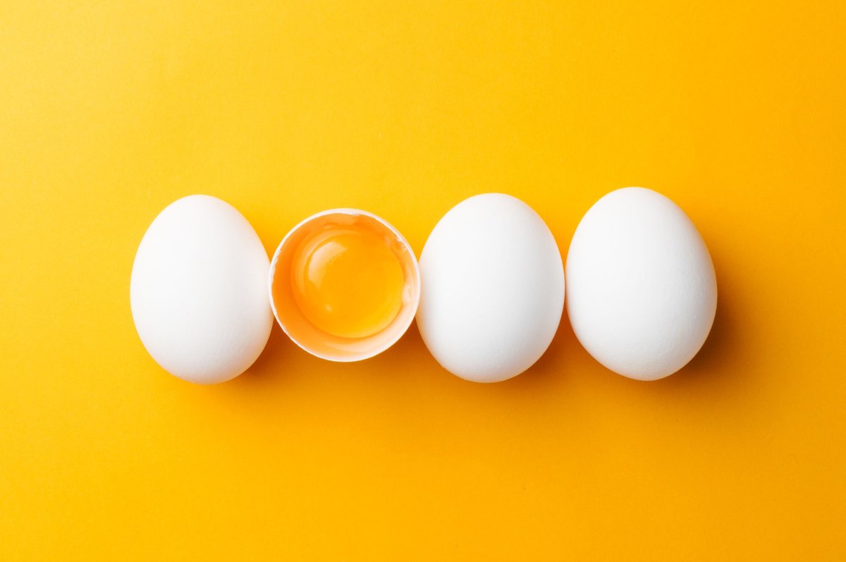 NewsMedical's tweet photo. Could eating eggs prevent dementia? 🥚🧠👵 https://t.co/3isfwXw1R4 #EggConsumption #DementiaResearch #CognitiveHealth #Brain #Wellness #Nutrition #HealthyAging #Eggs #Neuroprotection #Dementia @Nutrients_MDPI https://t.co/7QzeCDToQU