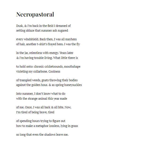 Despy Boutris tweet media